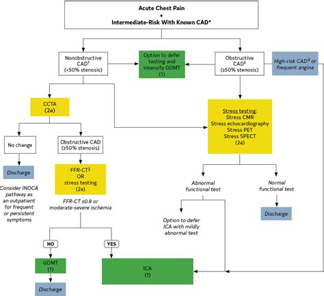 2021 AHA ACC ASE CHEST SAEM SCCT SCMR Guideline For The Evaluation And