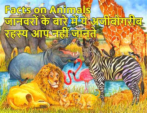 Facts On Animals जानवरों के बारे में ये अजीबोगरीब रहस्य आप नहीं जानते