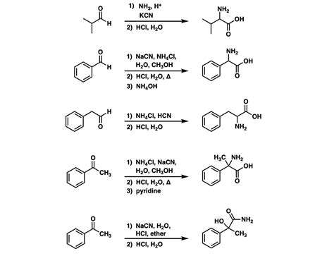 Strecker Synthesis Master Organic Chemistry