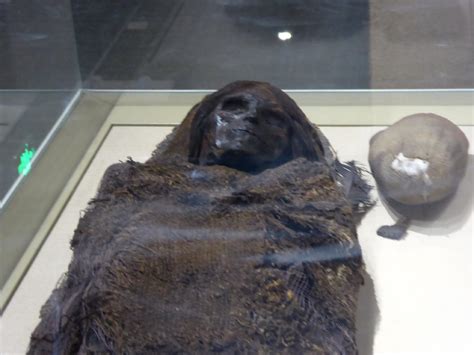 Tarim Mummies – Wulumuqi Shi, China - Atlas Obscura