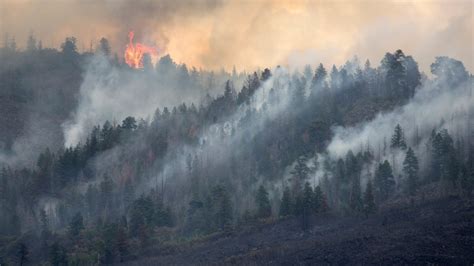 How Wildfire Smoke Affects Your Body and Mind