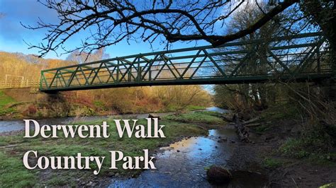 Derwent Walk Country Park United Kingdom A Tranquil Morning Walk