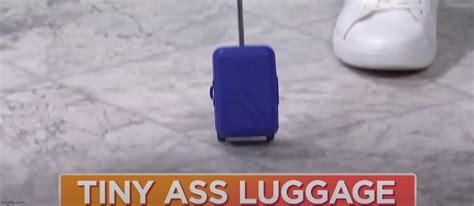 Tiny Ass Luggage Imgflip