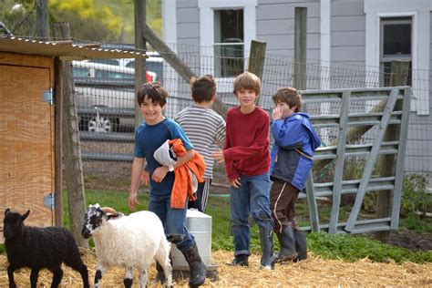 Happy Hens Farm: Live Oak School Farm Visit