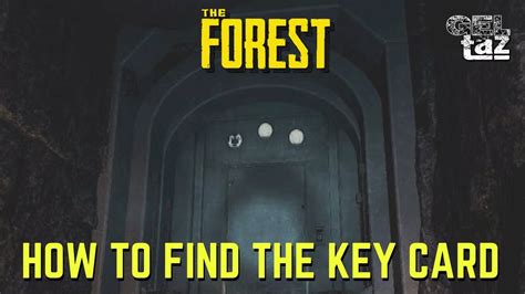 Keycard the forest - ladegandmore