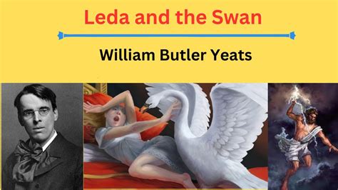 Leda And The Swan By WB Yeats Line By Line Discussion Literature