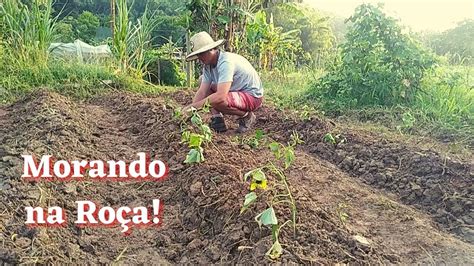 Rotina Morando Na Ro A Plantando No S Tio Alimentando A Cria O E