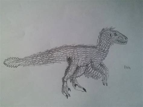 velociraptor with feathers 2 by SarahTheFox97 on DeviantArt