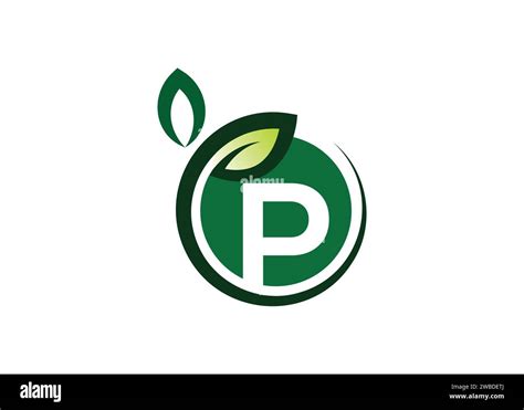 Letter P Green Leaf Logo Design Vector Template Letter P Nature Growth