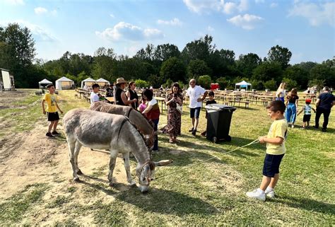 Al Parco Del Morbasco La Festa Dei Ciliegi Cremonaoggi