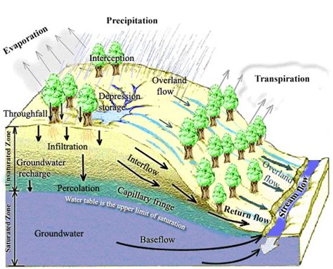 Runoff Processes Hydrology Research Group Usu