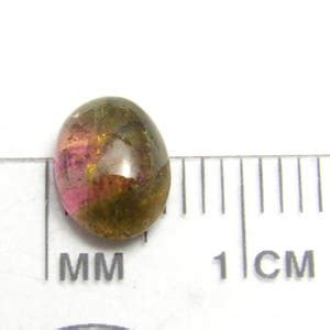 Watermelon Tourmaline Cabochon X X Mm X Mm Domed Oval Calibrated