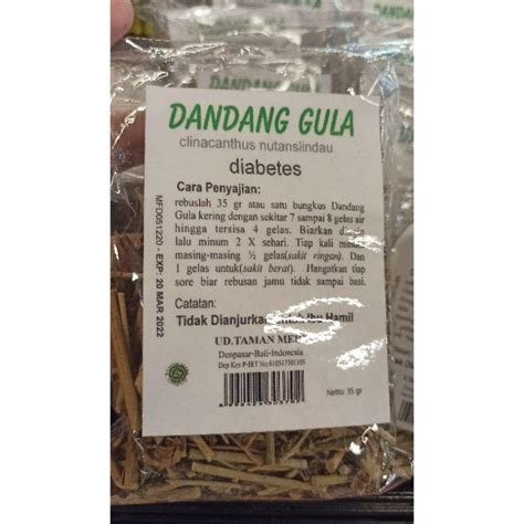 jual dandang gula clinacanthus nutanslindau shopee indonesia