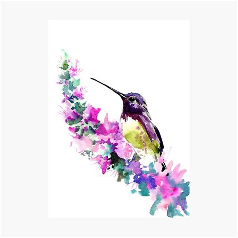 Lámina fotográfica Colibrí y flores de color rosa púrpura de surenart