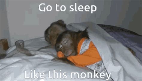 Go To Sleep Sleepy Monkey GIF - Go To Sleep Sleepy Monkey Sleep ...