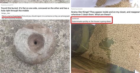 People Are Asking For Help Identifying Weird Objects They Found And The