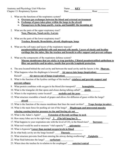 Anatomy And Physiology Unit Review Key Chapter Respiratory System