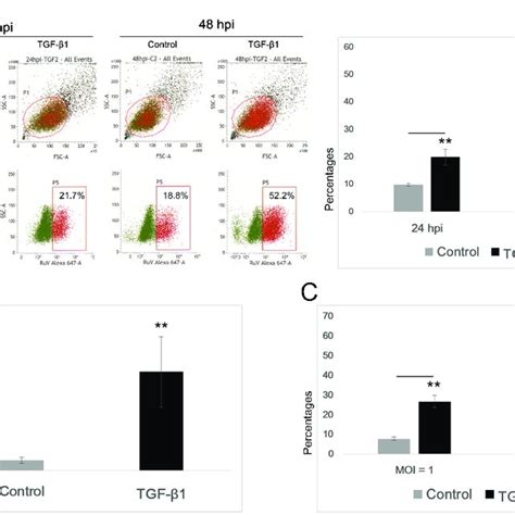 The Tgf Induced Emt Like Process Enhances The Ruv Infection Rate In