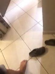 Dildo público xHamster