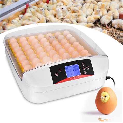 Buy Egg Digital Incubator Fully Automatic Egg Incubator For Hatching