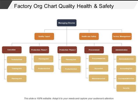 HSE Organization Chart