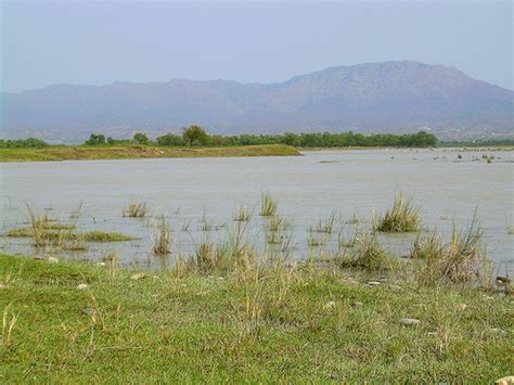 Sound Like Vikert: Indus Ghaggar-Hakra Civilization Reaction