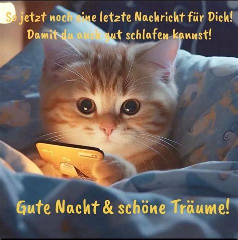 Pin By Heike Wahrn On Gute Nacht Katzen Cute Good Night Cute