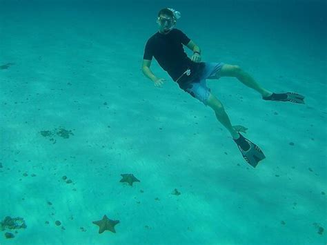 Mystic Snorkel Cozumel Ce Quil Faut Savoir Pour Votre Visite