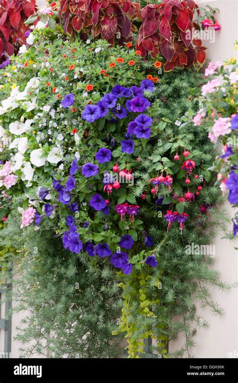 Wall Planters Hi Res Stock Photography And Images Alamy