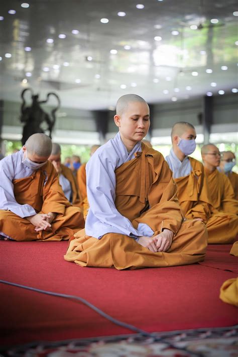 20 Free Vietnam Monks Monk Images Pixabay