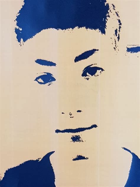 Autoportrait La Maniere Dandy Warhol Coll Ge De La Souffel