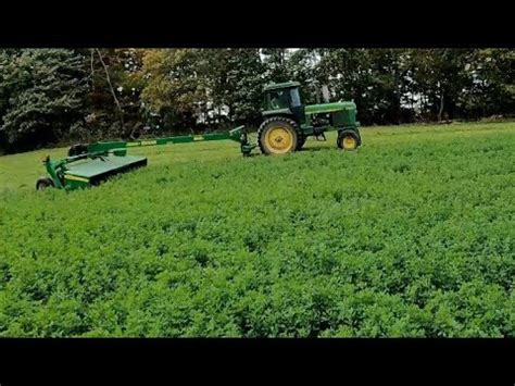 Mowing Merging 4th Cutting Alfalfa YouTube