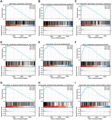 Stk Is A Prognostic Biomarker Correlated With Immune Infiltrates In