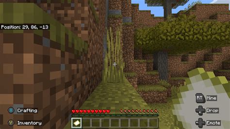 C Mo Activar Y Usar Coordenadas En Minecraft