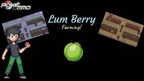 Lum Berry Farming Pokemmo 2023 Youtube