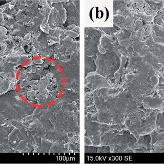 The Sem Photos Of The Fractured Surface Of Fr Pp Composites A Pp