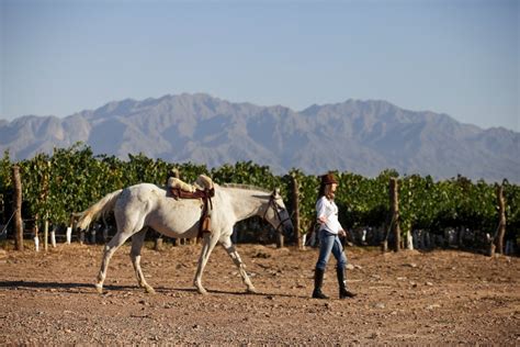 Cabalgatas entre viñedos a los pies de los Andes QiETUT