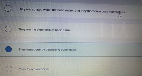 Solved What is the function of osteoclasts in bone tissue? | Chegg.com