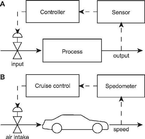 Examples Of Control Loops A Schematic Of A Simple Control Loop The