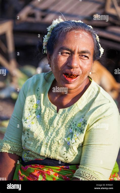 Betel Nut Hi Res Stock Photography And Images Alamy