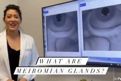 What are Meibomian Glands? | The Contact Lens Institute of Nevada