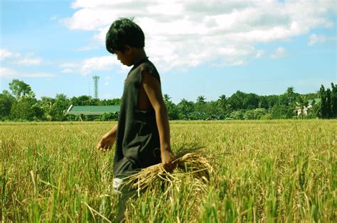 Ang Batang Magsasaka The Young Farmer Chris Linag Flickr