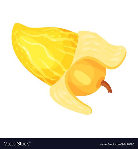 Ripe Yellow Mango With Peel Royalty Free Vector Image