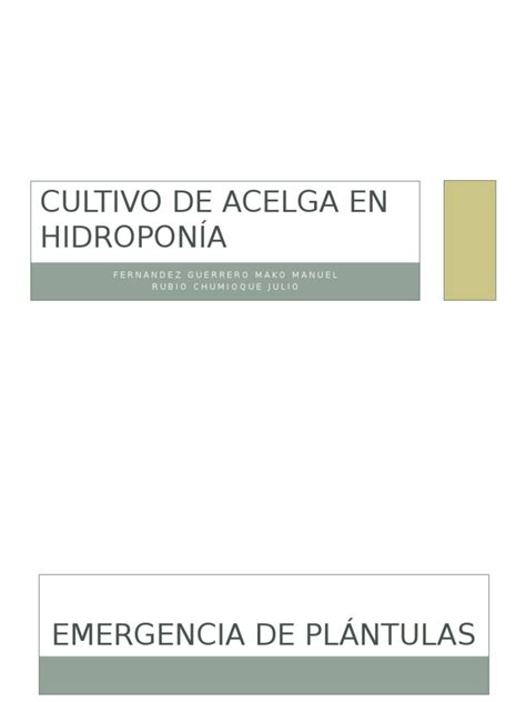 Pdf Cultivo De Acelga N Hidropon A Dokumen Tips