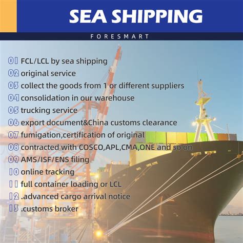 20ft Fcl International Shipping Sea Freight