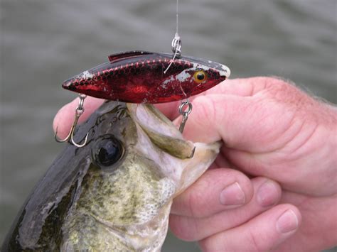 Outdoorscribe Lip Less Crankbaits Are Top Lure For Covering Largemouth