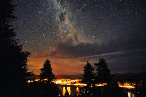 Silhouette Of Trees Under Starry Sky · Free Stock Photo