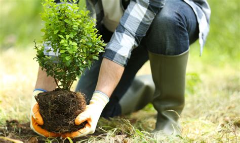 simple ways   protect  environment  advice avenue