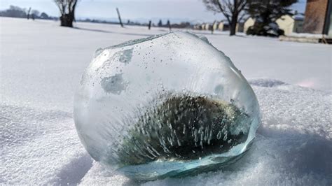 Colorful Frozen Ice Balls 3 Steps Instructables