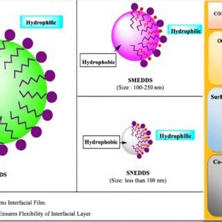 Commonly used excipients | Download Scientific Diagram